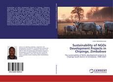 Sustainability of NGOs Development Projects in Chipinge, Zimbabwe的封面