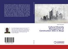 Copertina di Cultural Diversity Management on Construction Sites in Abuja