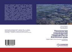 Buchcover von Технология скважинной гидродобычи железных руд