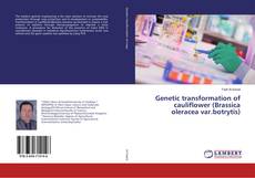 Buchcover von Genetic transformation of cauliflower (Brassica oleracea var.botrytis)