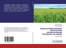 Copertina di Энергосберегающие технологии возделывания кукурузы на зерно