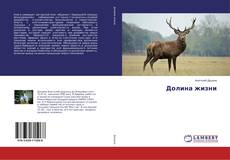 Borítókép a  Долина жизни - hoz