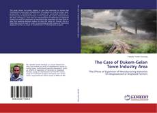 Borítókép a  The Case of Dukem-Gelan Town Industry Area - hoz