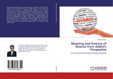 Borítókép a  Meaning and Essence of Divorce from Addict's Perspective - hoz