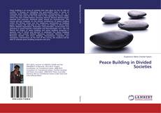 Borítókép a  Peace Building in Divided Societies - hoz