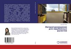 Copertina di Литературоведение для зарубежных русистов