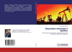 Copertina di Звуковая локация в трубах