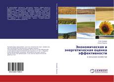 Copertina di Экономическая и энергетическая оценка эффективности