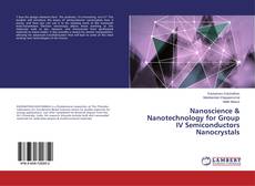 Buchcover von Nanoscience & Nanotechnology for Group IV Semiconductors Nanocrystals