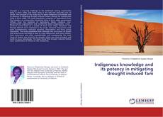 Borítókép a  Indigenous knowledge and its potency in mitigating drought induced fam - hoz
