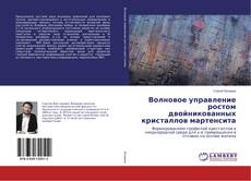 Borítókép a  Волновое управление ростом двойникованных кристаллов мартенсита - hoz