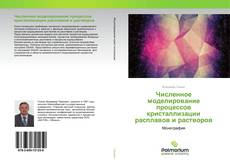 Buchcover von Численное моделирование процессов кристаллизации расплавов и растворов