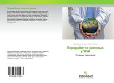 Buchcover von Переработка соленых углей