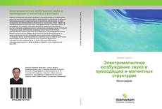 Borítókép a  Электромагнитное возбуждение звука в проводящих и магнитных структурах - hoz
