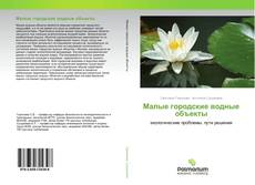 Обложка Малые городские водные объекты