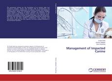 Borítókép a  Management of Impacted Canine - hoz