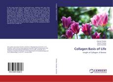 Borítókép a  Collagen:Basis of Life - hoz