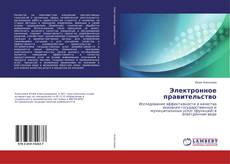 Buchcover von Электронное правительство