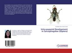Buchcover von Intra-puparial Development in Sarcophagidae (Diptera)