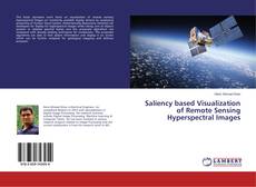 Buchcover von Saliency based Visualization of Remote Sensing Hyperspectral Images