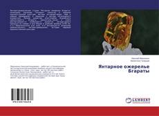 Buchcover von Янтарное ожерелье Бгараты