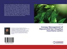 Buchcover von Canopy Management of Rejuvenated ber (Zizyphus mauritiana Lamk.)