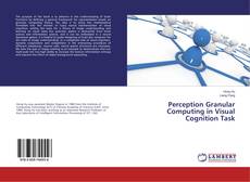 Copertina di Perception Granular Computing in Visual Cognition Task