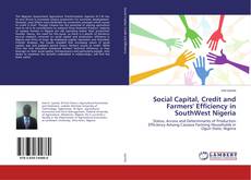 Buchcover von Social Capital, Credit and Farmers' Efficiency in SouthWest Nigeria