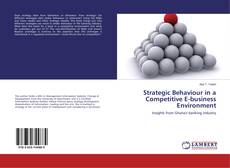 Buchcover von Strategic Behaviour in a Competitive E-business Environment