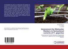 Buchcover von Assessment by Molecular Markers in Somaclonal variants of F. gigantea