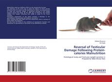 Bookcover of Reversal of Testicular Damage Following Protein-calories Malnutrition