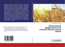 Buchcover von Повышение эффективности конвективной сушки зерна