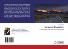 Buchcover von Consumer Perception