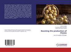 Buchcover von Boosting the production of Potato