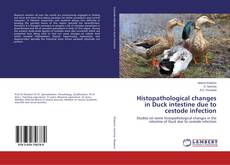Buchcover von Histopathological changes in Duck intestine due to cestode infection