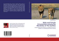 Buchcover von Male and Female Circumcision among the Mandinka of The Gambia