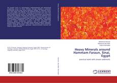 Buchcover von Heavy Minerals around Hammam Faraun, Sinai, Egypt