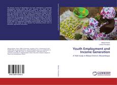 Copertina di Youth Employment and Income Generation