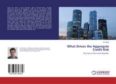 Copertina di What Drives the Aggregate Credit Risk