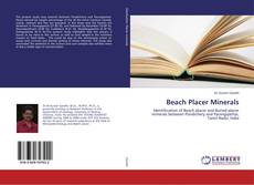 Buchcover von Beach Placer Minerals