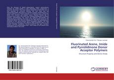 Buchcover von Fluorinated Arene, Imide and Pyrrolidinone Donor Acceptor Polymers