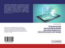 Buchcover von Управление метеозависимой организационно-технической системой