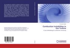 Buchcover von Combustion instabilities in Gas Turbine