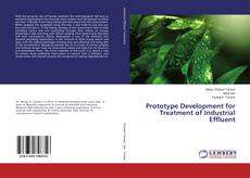 Buchcover von Prototype Development for Treatment of Industrial Effluent
