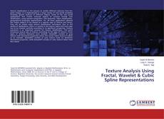 Buchcover von Texture Analysis Using Fractal, Wavelet & Cubic Spline Representations