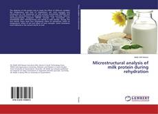 Buchcover von Microstructural analysis of milk protein during rehydration