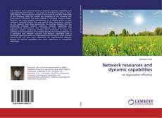 Copertina di Network resources and dynamic capabilities