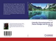 Copertina di Calorific Characterization of Faecal Sludge and its use as a Fuel