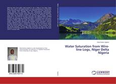 Buchcover von Water Saturation from Wire-line Logs, Niger Delta Nigeria