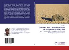 Copertina di Genetic and Cellular Studies of the podocyte in FSGS